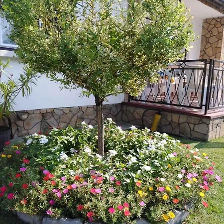 Semesterbostad In 19387